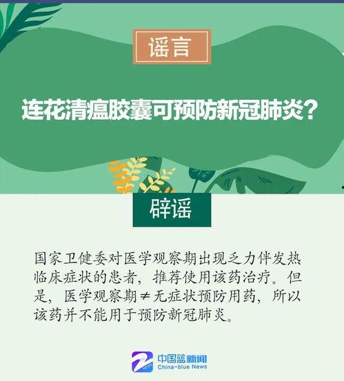 吃瓜不传谣视频下载免费,免费视频下载背后的真相