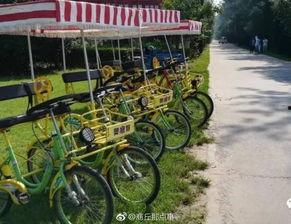 黄河公园爆料最新消息,揭秘公园神秘事件背后的真相