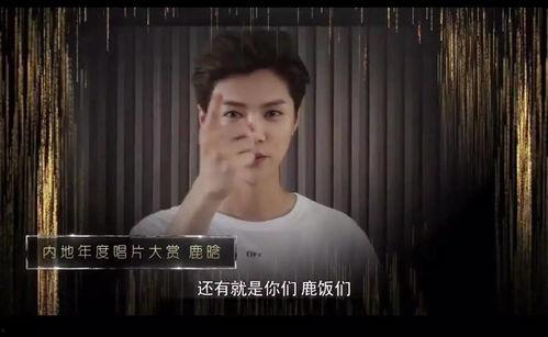 阿笨哥哥爆料视频大全集,揭秘幕后真相，笑料百出