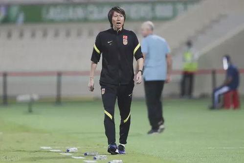 李平康爆料李铁视频,真相大白引热议