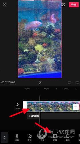 怎么提供抖音爆料的视频,揭秘抖音爆款视频背后的制作秘诀