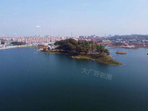 兰溪网友爆料视频最新消息,视频揭露惊人真相！