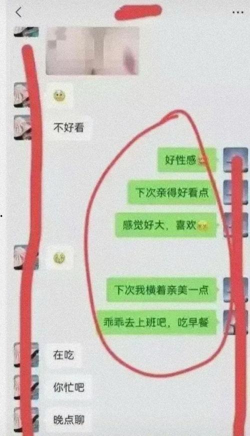 柳州小三爆料事件最新,真相揭露，家庭伦理再起波澜
