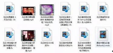 爆料经典视频下载安装最新版