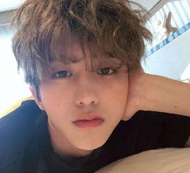 娱乐爆料任国超视频播放,娱乐爆料引网友热议