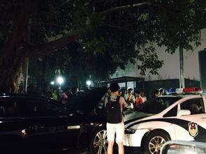 郑州警车爆料事件视频播放,郑州警车爆料事件视频引发社会关注