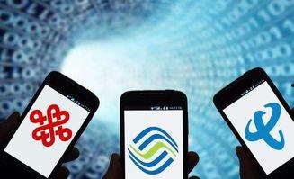 最新数码爆料电话号码,神秘电话号码背后的科技秘密