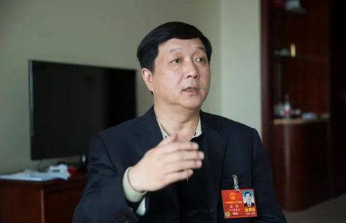 杨伟最新爆料视频,深度解析事件背后真相